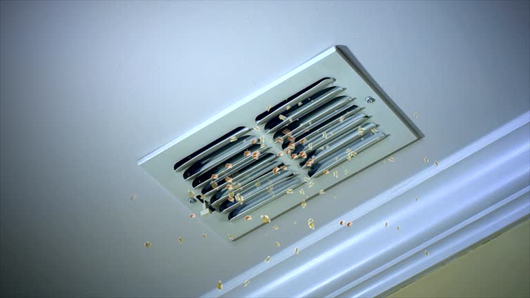 Best Air Vent Cleaning Services  in Lesslie, SC